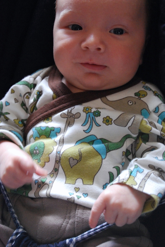 baby bouncer close up 1.jpg